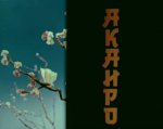 Акаиро Акаиро