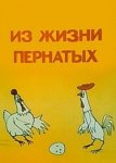 Из жизни пернатых Из жизни пернатых